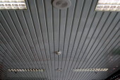 Kaufland6